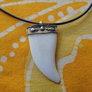 May include: A white tooth pendant necklace with a silver band and decorative accents. The necklace is on a black cord.