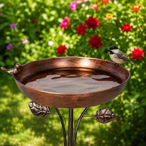 Può includere: Un bagno per uccelli in metallo color rame con una vaschetta rotonda piena d'acqua. Una piccola figura decorativa di uccello è fissata sul bordo. Il supporto è decorato con foglie in metallo. Una cincia dal cappuccio nero è appollaiata sul bordo.