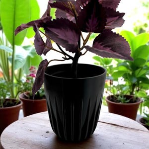 3D gedruckter gerippter Blumentopf: Moderne minimalistische Innendekoration