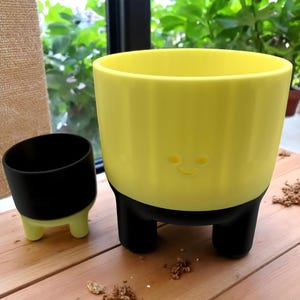 3D gedruckter Smiley Blumentopf: Minimalistischer Blumentopf