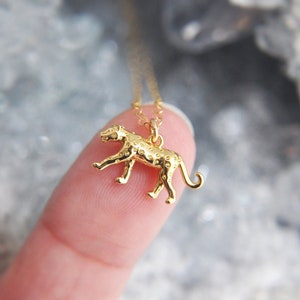 May include: A gold-colored necklace featuring a small leopard pendant. The pendant is detailed with spots and is suspended from a delicate chain. The necklace is shown against a soft, blurred background.