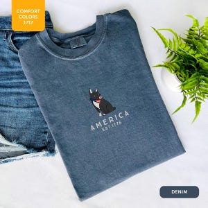 -shirt Rat Terrier American Designs Comfort Colors 1717 | Drapeau rouge rétro