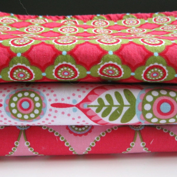 Baby Girl Burp Cloth Set (3) Pink & Green Bold Patterns backed with White Minky