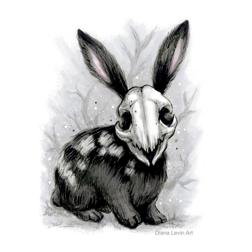 Rabbit Skull Art Print 5 X 7 Horror Bunny - Etsy