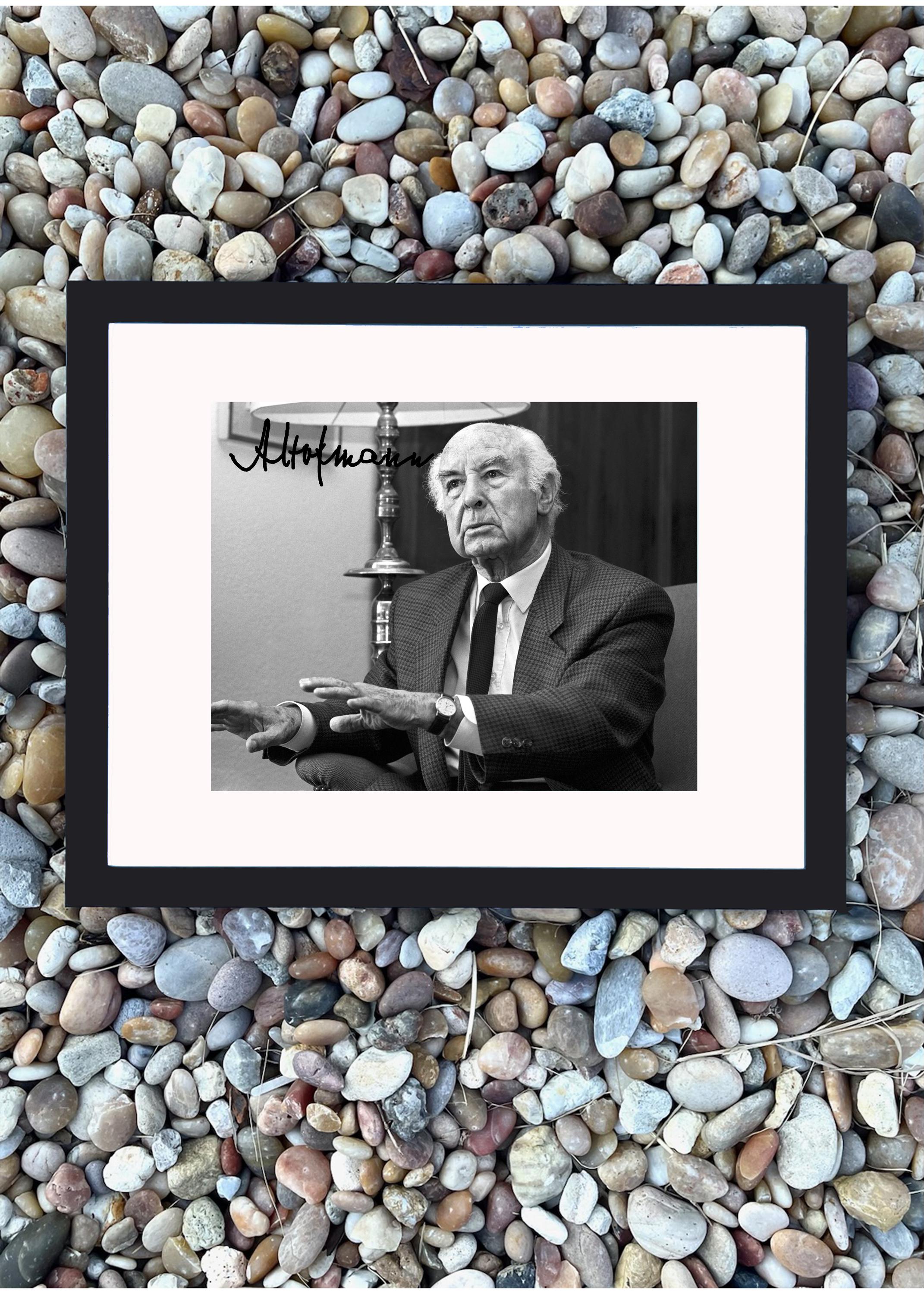 Albert hofmann - Etsy 日本