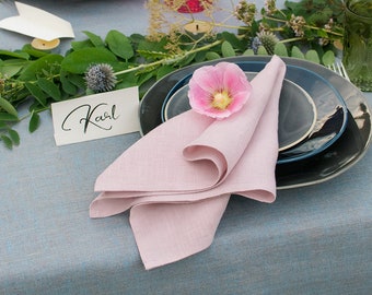 Blush pink napkins Wedding party napkins cloth Set 2, 4, 6 8 10 stone washed linen napkins Spring dinner vegan napkins Shower table decor
