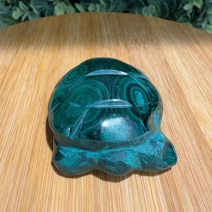 Tortuga de malaquita