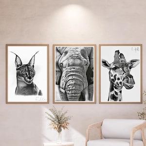 African Animal Wall Art Set Black and White Animal Sketch Nursery Room Decor Animal Living Room Bedroom Decor Baby Shower Housewarming Gift
