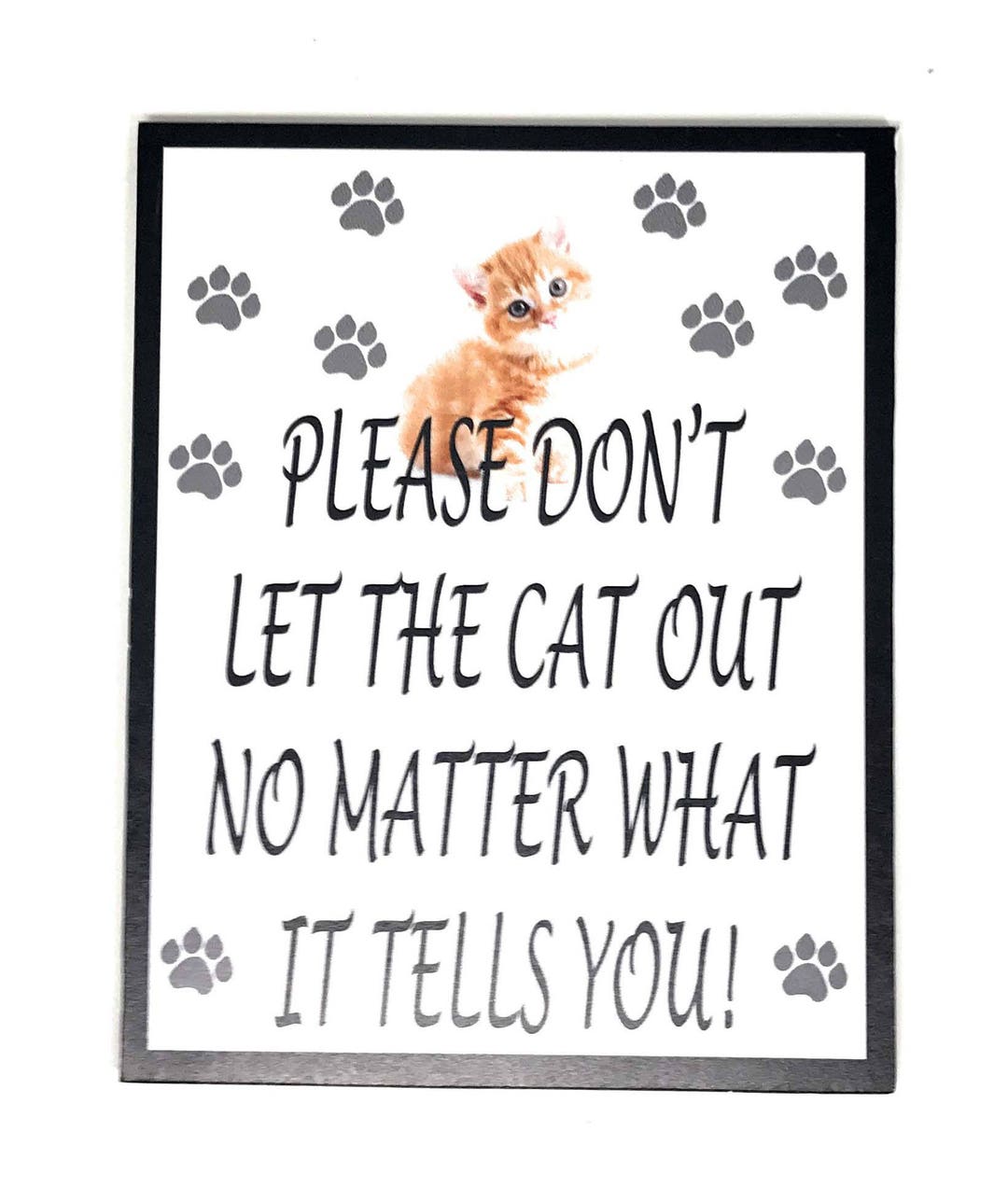 Do Not Let The Cat Out No Matter What It Tells You Novelty 4x6 Aluminum