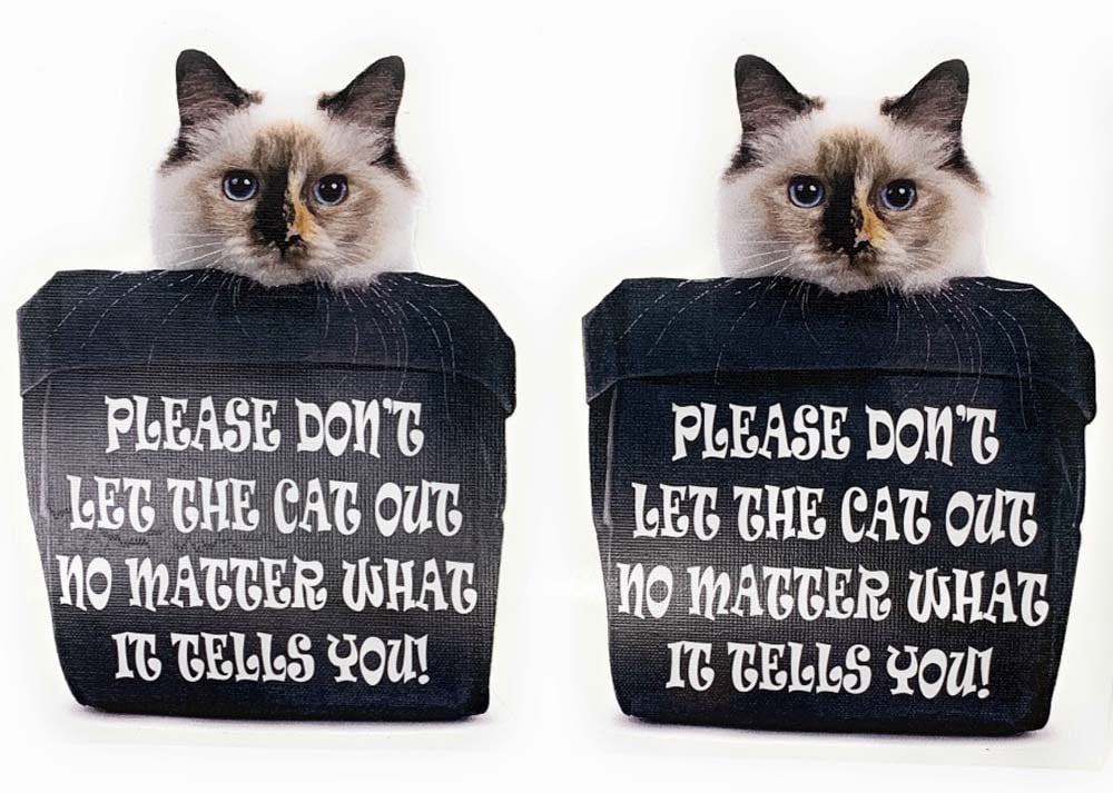 Dont Let The Cats Out No Matter What They Tell You