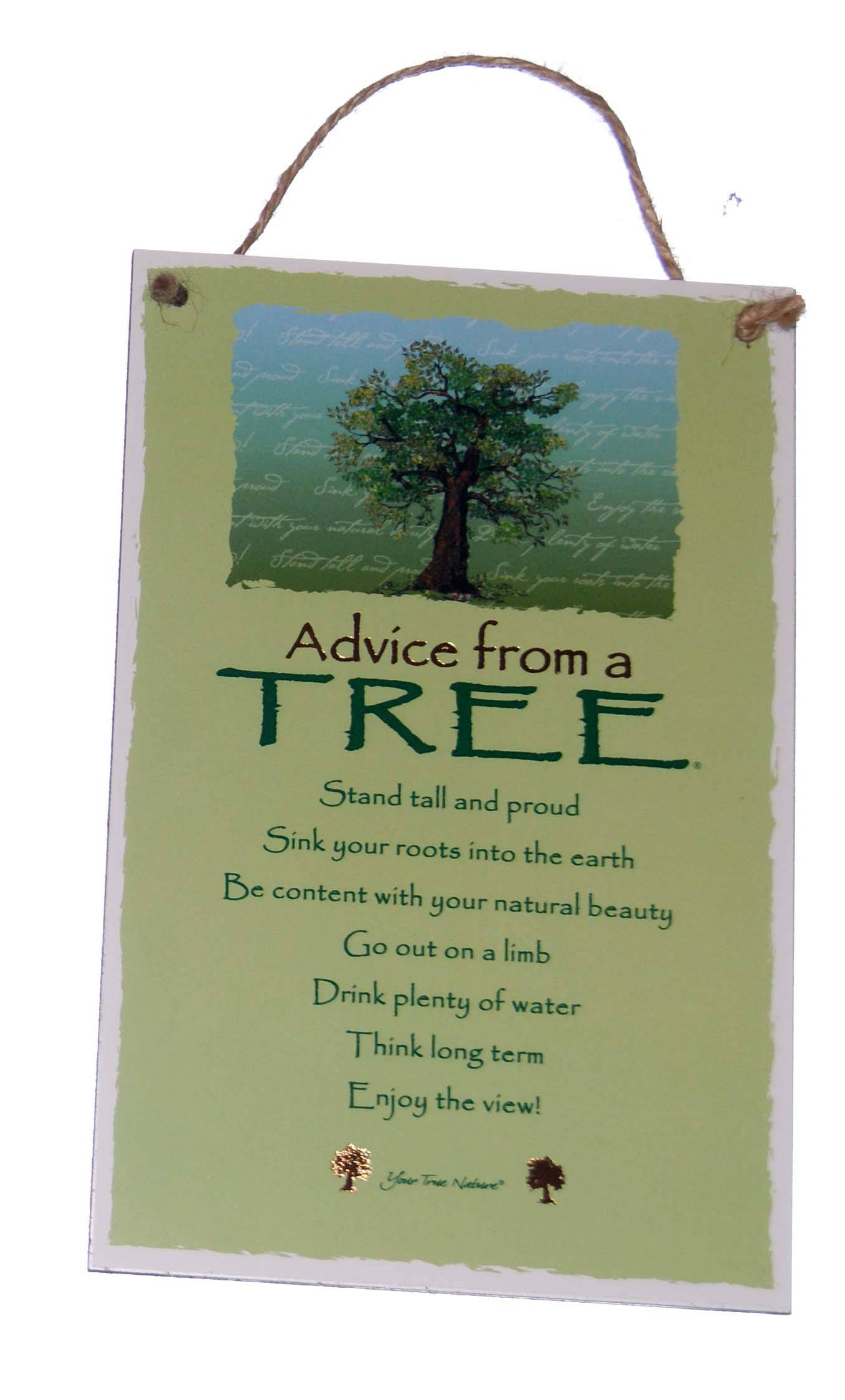 Advice From the Tree Novelty Inspirational 5.5x8.5 Etsy