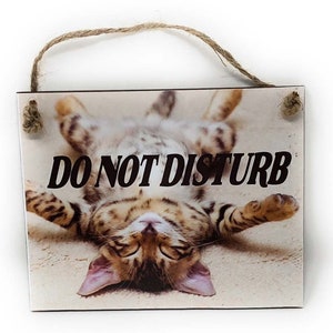 May include: A wooden sign with a brown background and a tan rope hanger. The sign features a photo of a tabby cat sleeping on its back with its paws in the air. The text "DO NOT DISTURB" is printed in black letters on the sign.