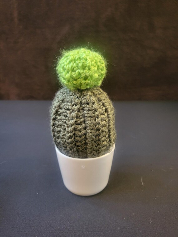 gummibaum kaufen lidl Südbalkon Pflanzen Set – Green Me Up main image 1
