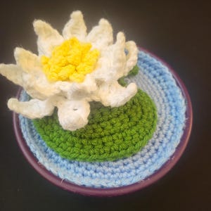 Crochet Water Lilly in Pot