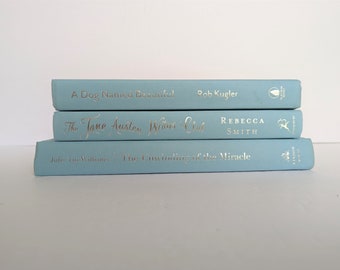 Set of 3 Pale Aqua Blue Books; Home or Wedding Decor; Instant Library; Book Display; Photo Prop