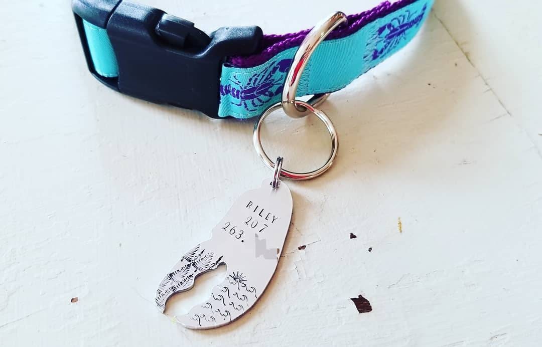 designer dog id tags designer dog id tags