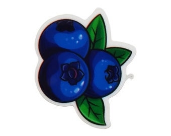 Blueberry shirt pin