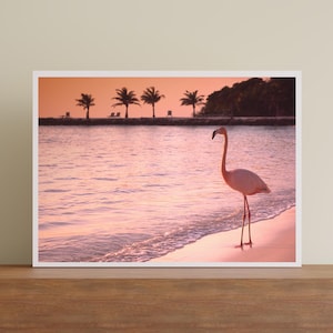 Flamingo Wall Art, Coastal Beach Ocean Wall Art, Pink Beach Digital Download