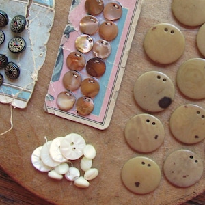 Può includere: Assortimento di bottoni in vari colori e materiali, tra cui una carta etichettata "Buttons" con una collezione di bottoni di conchiglia marrone e bianca, una carta con due bottoni con motivo floreale e una collezione di bottoni di legno marrone e bianco.