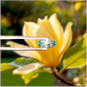 RARE ★★ ZIRCON CHAMPAGNE DE TANZANIE : 4,8 mm x 3.1 mm