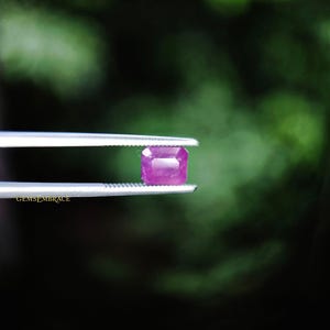 May include: A rectangular, faceted, pink gemstone is held by tweezers against a blurred green background. The gemstone has a polished surface and is a vibrant shade of pink. The text "GEMSEMBRACE" is visible on the tweezers.