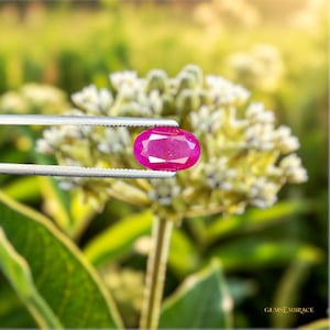 Natural Myanmar Ruby 3.20ct — Untreated | Collector Gem : Oval Red Gemstone •