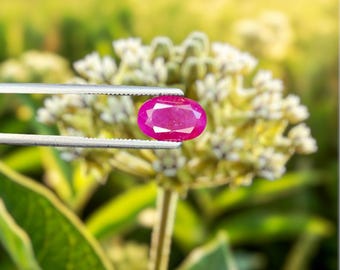 Natural Myanmar Ruby 3.20ct — Untreated | Collector Gem : Oval Red Gemstone •