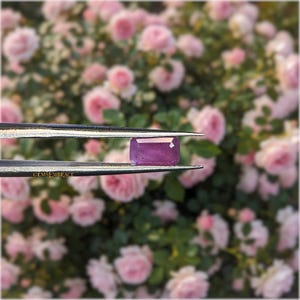 Rubino del Myanmar non trattato 1,8 ct / Taglio rettangolare / Raro rubino rosa violaceo • (7,9 × 4,7 × 4 mm)