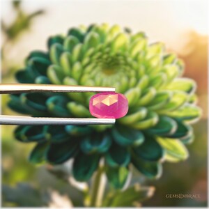 Naturalny nieobrobiony rubin 1,65 ct – pochodzenie z Myanmaru, szlif poduszkowy, różowoczerwony • (8,1 × 5,8 × 4,2 mm)