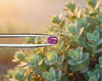 Natural Myanmar Ruby – 1.20ct Oval Pinkish Red Gemstone