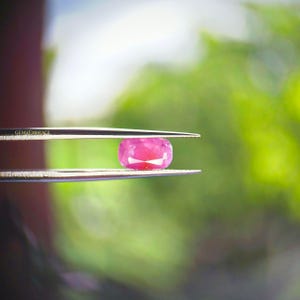 Puede incluir: Una gema rosa facetada, de forma ovalada, es sostenida por unas pinzas sobre un fondo verde borroso. La gema tiene un color vibrante y parece ser un rubí. El texto "GEMSEMBRACE" es visible en las pinzas.