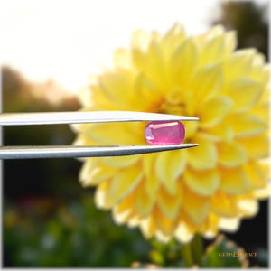 Untreated Ruby Myanmar 2.0ct | Cushion Cut | Love • Prosperity • Courage • (7.9 × 5.6 × 4.4 mm)