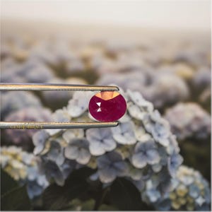 Natural Ruby Unheated Tanzania Oval 1.80ct (8.8×7.2×3.2mm) – Vivid Pinkish Red •