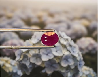 Natural Ruby Unheated Tanzania Oval 1.80ct (8.8×7.2×3.2mm) – Vivid Pinkish Red •