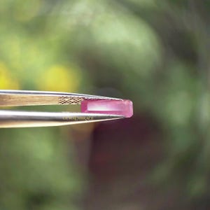 Può includere: Una gemma rosa rettangolare è tenuta da una pinzetta su uno sfondo verde sfocato. La gemma ha una superficie lucida e una leggera traslucenza. Il testo "GEMSEMBRACE" è visibile sulla pinzetta.