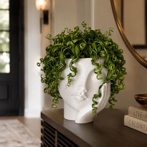 May include: A white ceramic planter shaped like a human head with a hand resting against the cheek. The planter is filled with a vibrant green curly plant that cascades over the top and sides, mimicking hair. The facial features are smooth and defined.