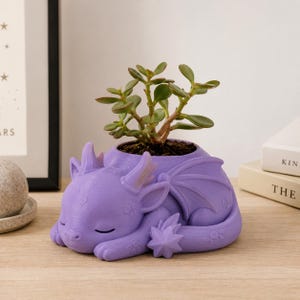 May include: A light purple planter shaped like a sleeping dragon with folded wings and a star-tipped tail. The dragon has closed eyes and textured scales, holding a small green succulent plant in the circular opening on its back.