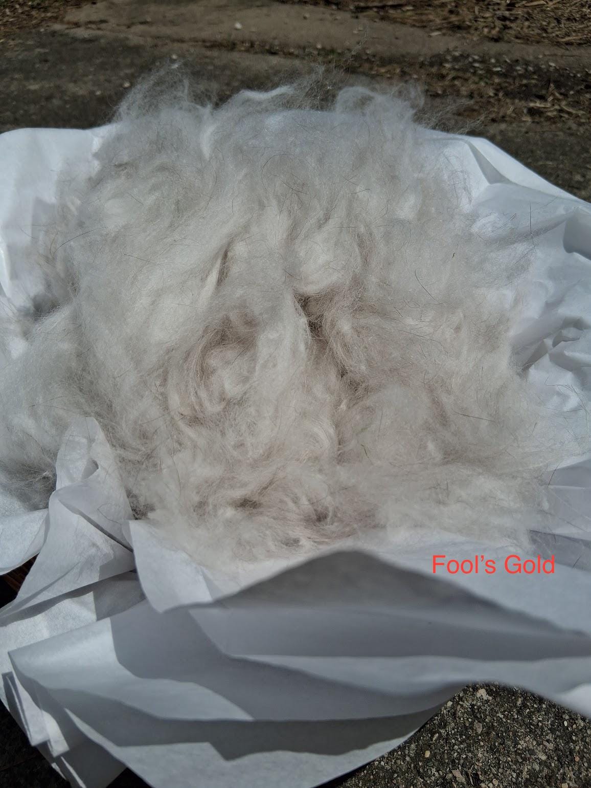 Raw English Angora Fiber – Uncarded Natural Rabbit Fiber for Spinning ...