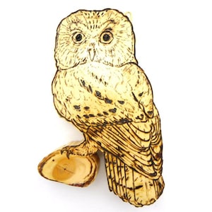 Owl Wood Wall Art Décor