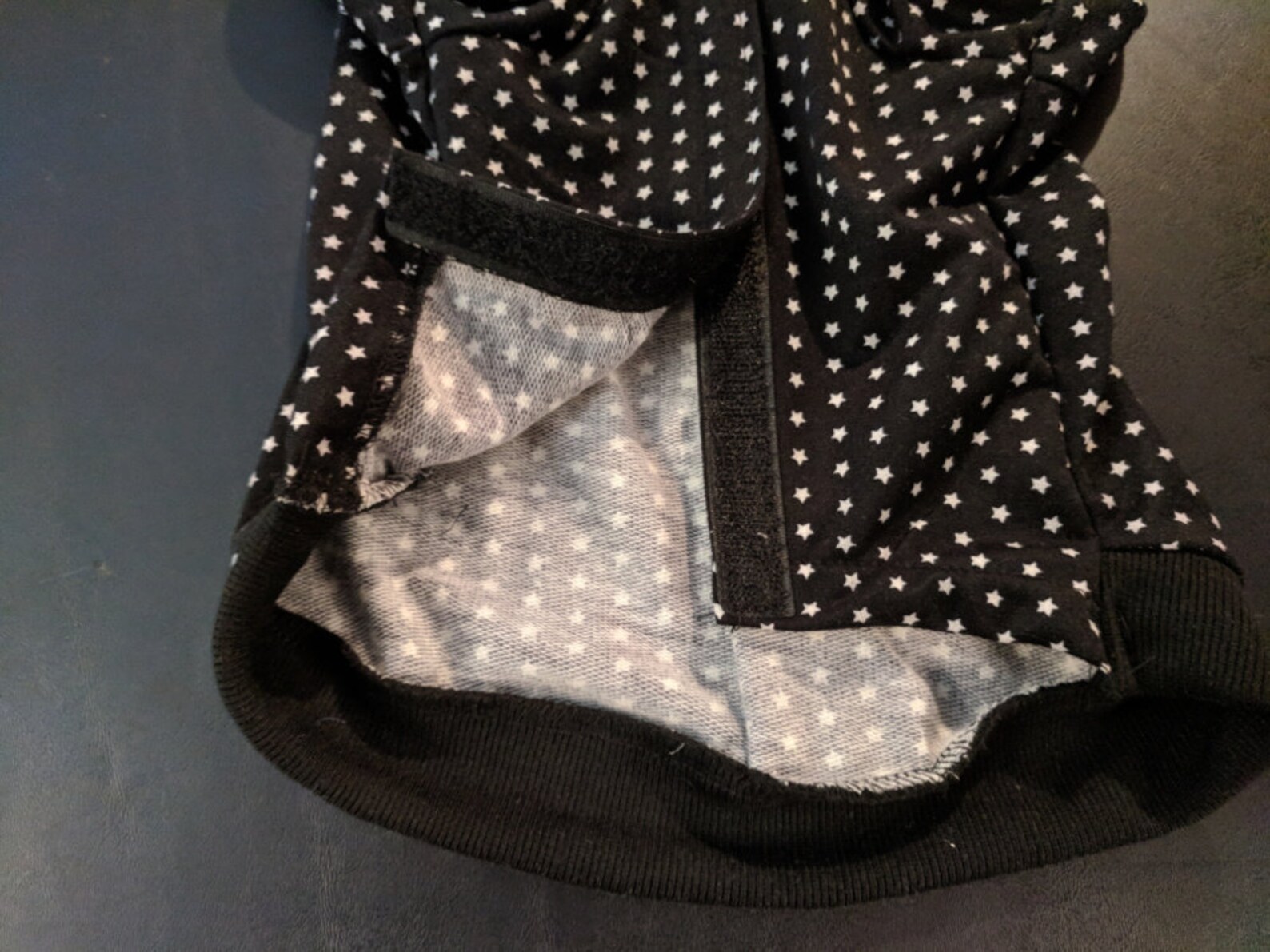 Black Dog Dinosaur Hoodie With Small White Stars and Matching Etsy