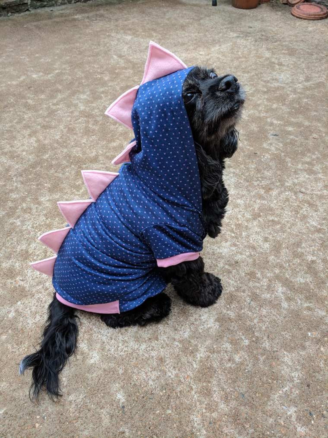 Black Dog Dinosaur Hoodie With Small White Stars and Matching Etsy
