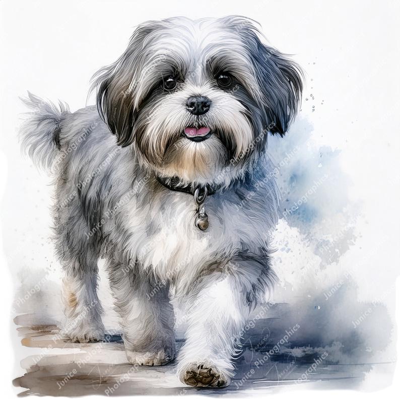 Shih Tzu Dog Watercolor Clipart | Card Making (digital Download) - Etsy