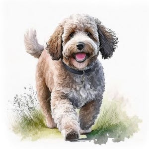 May include: A watercolor-style illustration of a happy, medium-sized dog with curly fur. The dog is light brown and white, with dark brown ears and a black collar. It's walking towards the viewer with its tongue out, set against a grassy background.