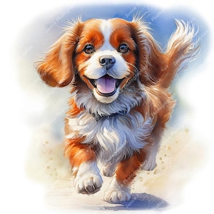 Clipart acquerello di cane Cavalier King Charles Spaniel / Creazione di biglietti (download digitale)