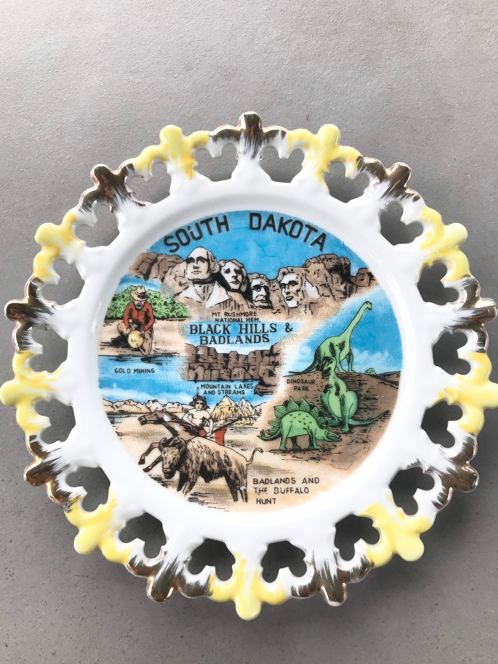 Vintage South Dakota Souvenir Plate - Etsy