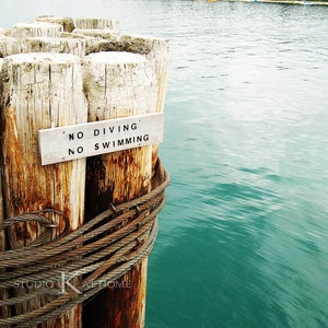 INSTANT DOWNLOAD- Land - No Swimming No Diving