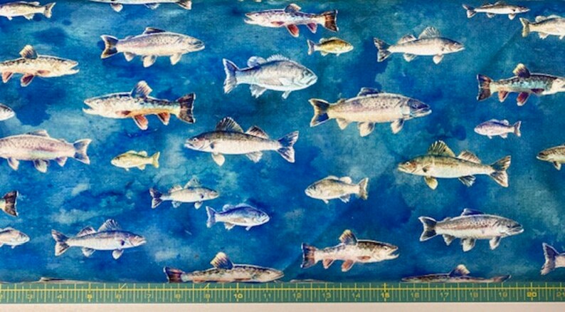 Hoffman Evening Fish Digitally Printed 12 Yard Free Shipping Cotton Fabric for Quilting R4645-101