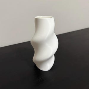 Elegant Wavy Vase – Unique Modern Design for Flowers & Home Décor