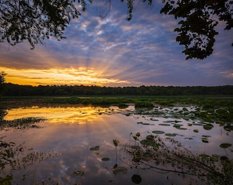 Sunrise Over Lake Photography Digital Download Nature Lover Wall Art Sunrise Sunset Sunrays Reflection