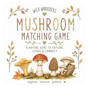 Könnte beinhalten: Ein Wild Wanderers Mushroom Matching Game Spielkarton mit Aquarellillustrationen verschiedener Pilze, darunter ein Fliegenpilz, sowie dem Text "A nature game to explore, learn & connect" und "explore. observe. protect."